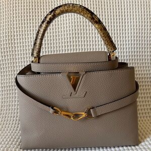 Louis Vuitton Limited Edition Capucine Taurillon Galet Phyton